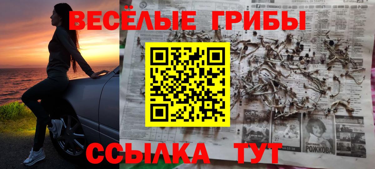 Красный Сулин  Псилоцибиновые грибы MAGIC MUSHROOMS  Вход с VPN  Галлюциногенные грибы ЛСД 